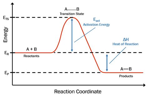 [DIAGRAM] Bowens Reaction Diagram - MYDIAGRAM.ONLINE