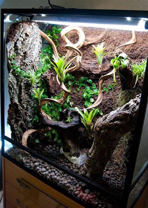 vivs,tanks,terrariums - Geckos Unlimited | Gecko vivarium, Crested ...