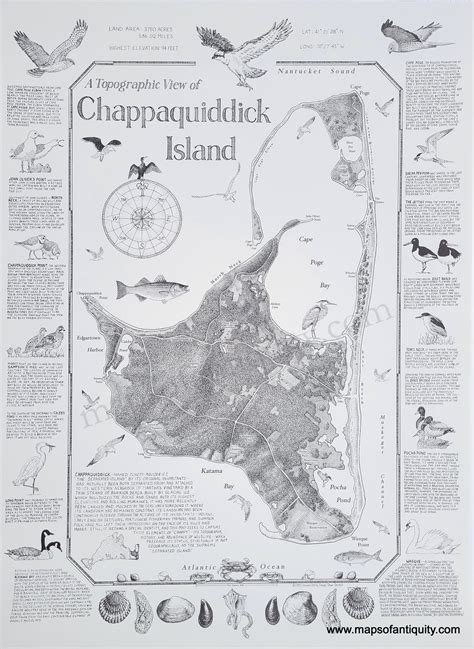 A Topographic View of Chappaquiddick Island (Martha's Vineyard, Massac ...