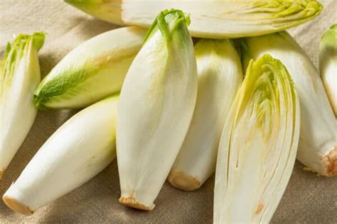 Growing Endive: Planting, Caring For, and Harvesting This Versatile Green