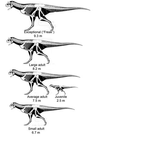 Image - Carnotaurus hypothetical size range.png - Reptipedia, the ...