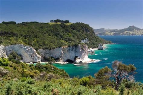 Coromandel Peninsula Coast Cathedral Cove Beaches