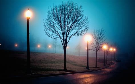 Sleep Walking, richmond, park, scenary, fog, lights, winter, atmosphere ...