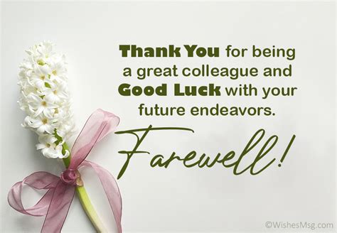 70 Farewell Messages For Colleague And Coworker Wishesmsg | Images and ...