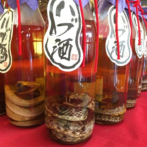 Okinawa Market Blog: Okinawa's interesting alcohol liquor HABU SAKE