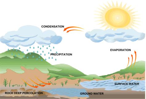 how is rain formed Archives - Easy Science For Kids