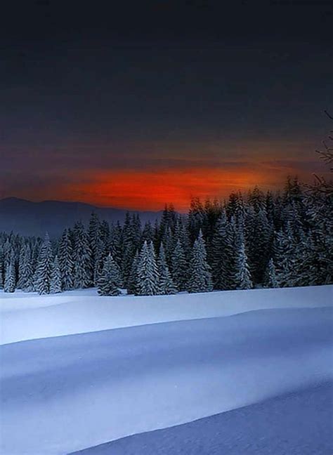 Winter sunset | Winter sunset, Red sunset, Sunset