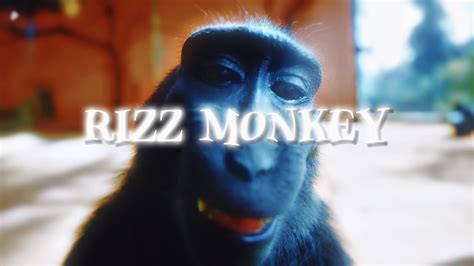 Rizz Monkey「EDIT」🙊🍆💦 - YouTube