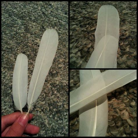 White Dove Feathers by RaptorFeather on DeviantArt