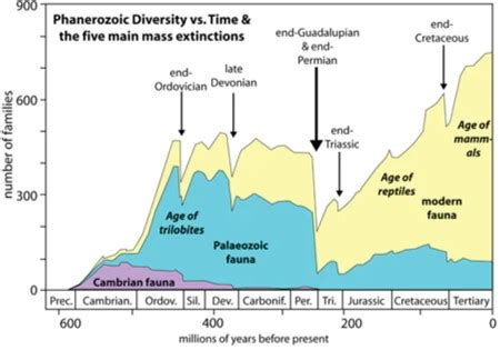 Permian Triassic Extinction