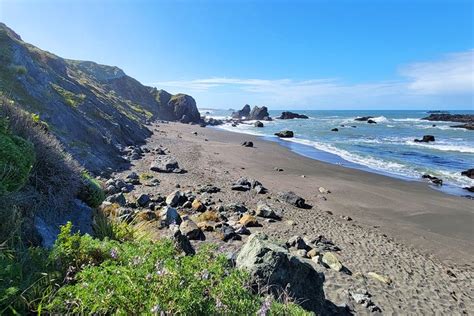 12 Best Beaches in Bodega Bay, CA | PlanetWare