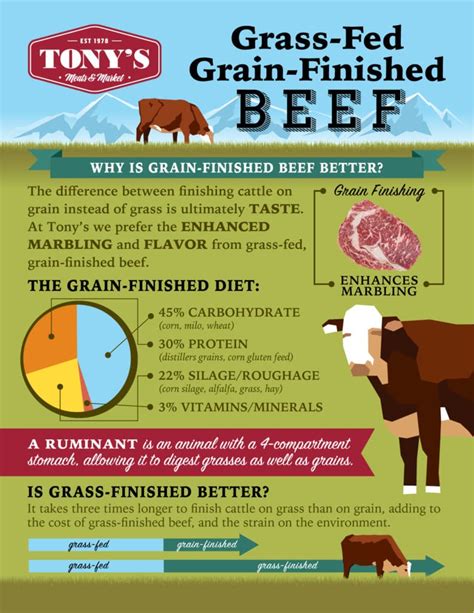 The Benefits of Grass-Fed, Grain-Finished Beef - Tony's Meats & Market