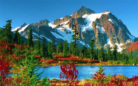 Mount Baker Snoqualmie National Forest Hd Wallpaper 584053 ...