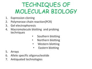 molecular biology techniques | PPT