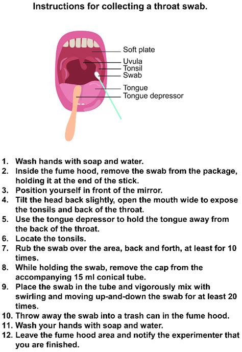 Instructions for collecting a pharyngeal swab. | Download Scientific ...