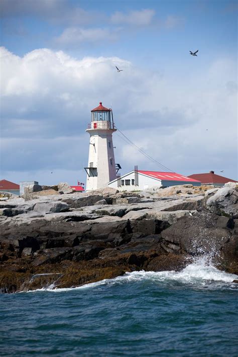 Maine: Machias Seal Island Lighthouse by Jill on 500px (With images ...