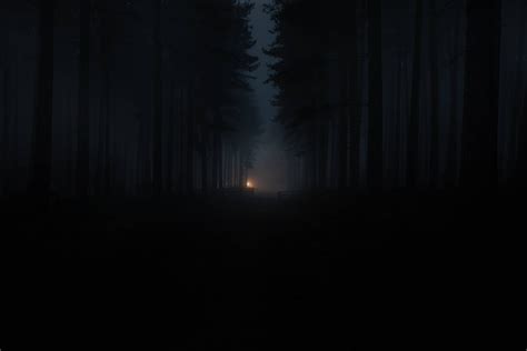 Aggregate more than 87 gloomy forest wallpaper best - noithatsi.vn