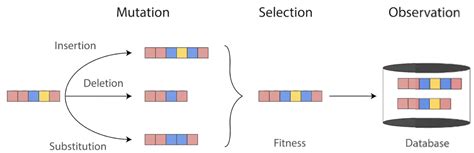 What we can learn from evolving proteins | Liam's Blog