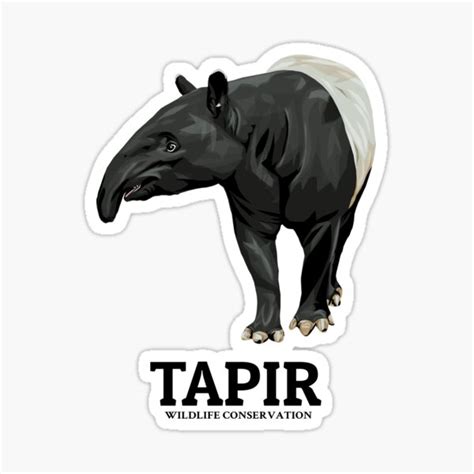 "Tapir Conservation" Sticker for Sale by KewaleeTee | Redbubble