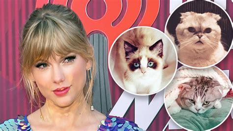 Taylor Swift is a Tik Tok Cat Lady! - Celebrity Pets