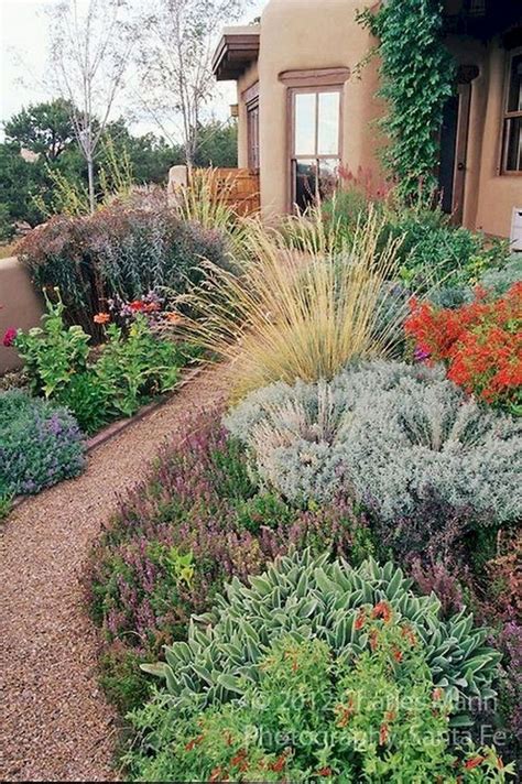 HugeDomains.com | Xeriscape front yard, Xeriscape landscaping, Xeriscape