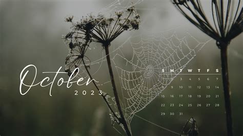 Details more than 69 october desktop wallpaper super hot - in.cdgdbentre