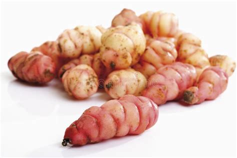 Oca tubers stock image. Image of culinary, closeup, firm - 50491633