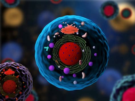 Video In Cell Organelles - Owen Pasha