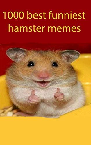 1000 best funniest hamster memes: Ultimate Funny pet memes ,animal ...