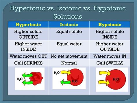 Tonicity | Hypotonic, Hyertonic & Isotonic Solutions