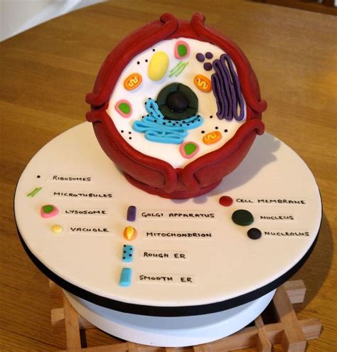 Biology Cell Cake This was done for a couple of High school Biology ...