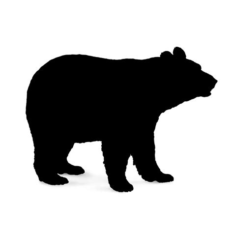 Polar bear Brown bear American black bear Vector graphics - png ...