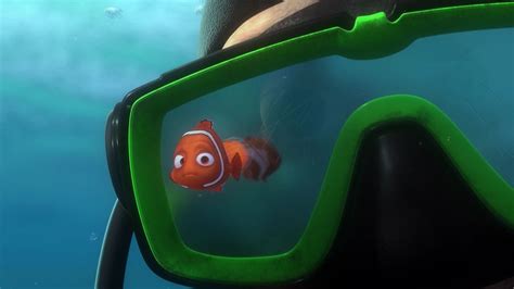 15 Things You Never Knew About Finding Nemo - I Know All News