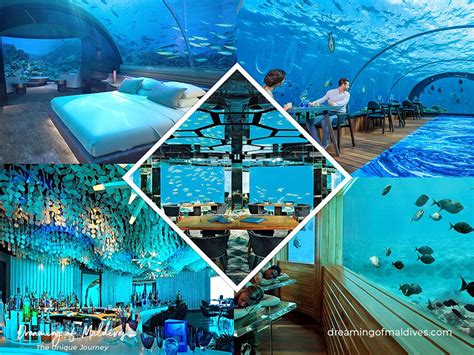 8 Amazing Underwater Structures in Maldives. Come Down Under.