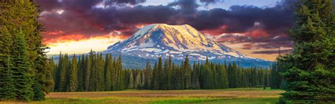 Gifford Pinchot National Forest