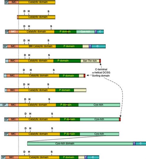 7. (Continued) Comparison between ESPs and ISPs. ( a ) The first six ...