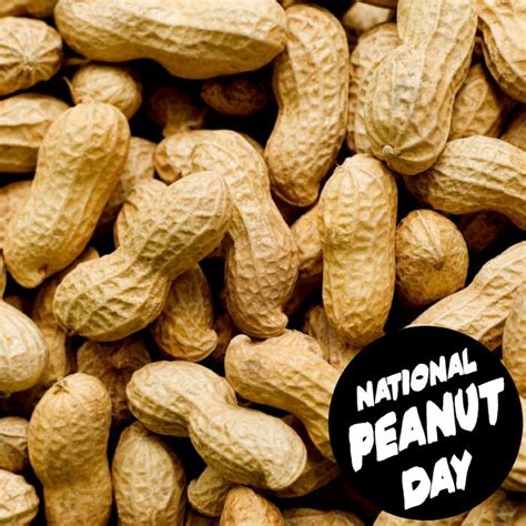 National Peanut Day - September 13, 2020 | National holidays, Peanut ...