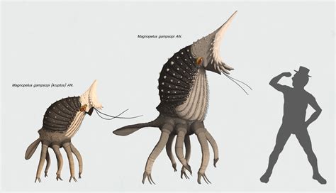 Speculative Evolution | Alien concept art, Alien creatures, Creature art