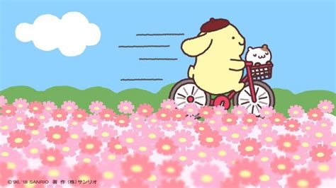 PompomPurin | Sanrio wallpaper, Cute desktop wallpaper, Wallpaper