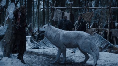 Here's why we didn't see Jon Snow's direwolf, Ghost, during 'Battle of ...