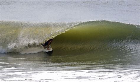 Folly Beach Surfing Guide