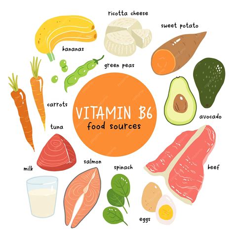 Premium Vector | Vitamin b6 vector stock illustration Food products ...