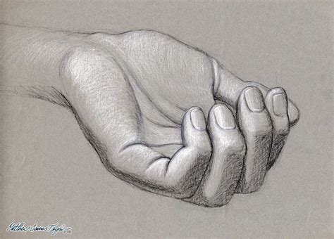 Pin by Angel on Hands | How to draw hands, Human anatomy drawing, Life ...