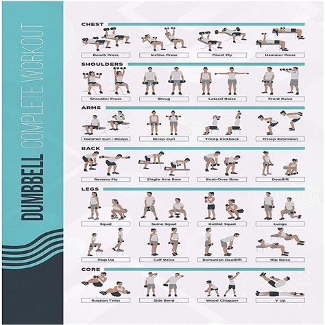 Palace Learning Dumbbell Workout Exercise Poster Free Weight Body ...