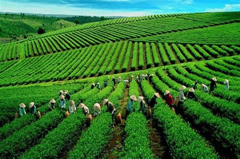 Top 8 best places to visit in Son La, Vietnam