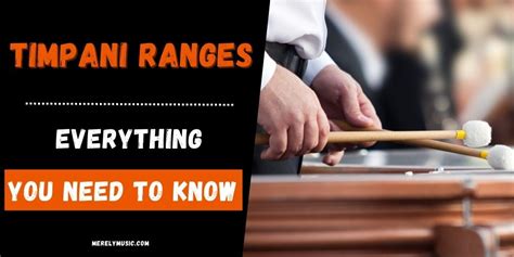 Timpani Ranges – Everything You Need to Know