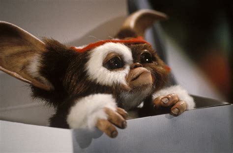 Gizmo - Gremlins Photo (33863127) - Fanpop