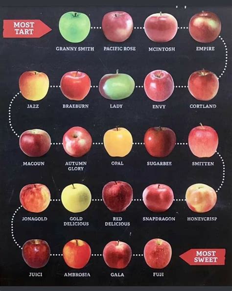 Chart Green Apple Varieties