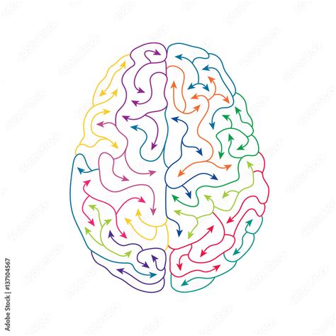 Creative human brain line art illustration Stock Vector | Adobe Stock