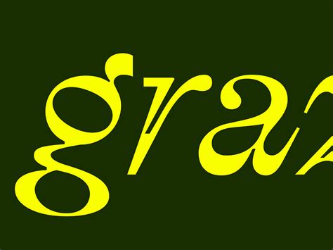 grazie by Nathan Holthus on Dribbble